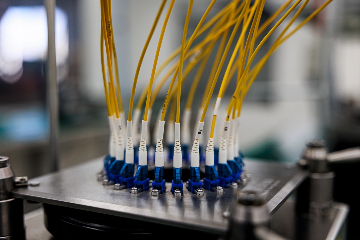 Lab-images_020